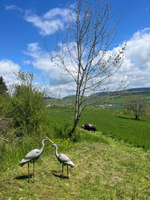 Neuer 3D-Parcours Jeisshütte bei Blumberg Deutschland 