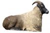 SRT Himalayan Tahr bedded 3d archery target