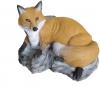 SRT Bedded Fox