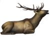 SRT Elk bedded