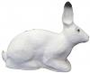 SRT White Rabbit